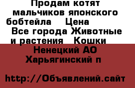 Продам котят мальчиков японского бобтейла. › Цена ­ 30 000 - Все города Животные и растения » Кошки   . Ненецкий АО,Харьягинский п.